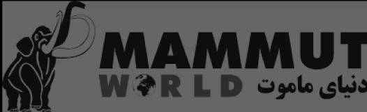 company icon